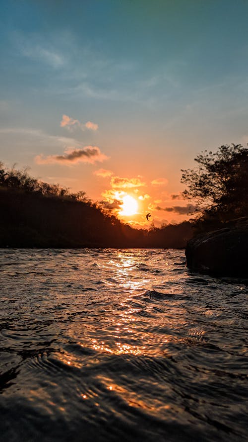 Free stock photo of blue sky, forest river, sunset color