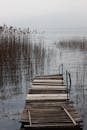 Old Broken Wooden Dock on Lake