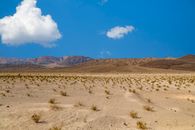 Brown Field Under Blue Sky