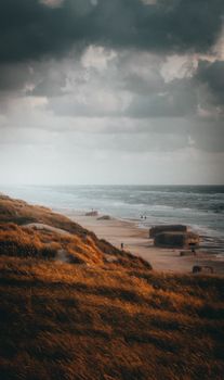 A captivating view of a rugged coastline with dramatic skies and golden grasses swaying in the wind.