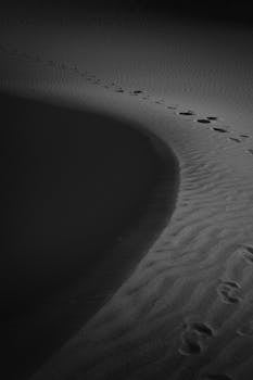 Curved footprints on sand dunes, creating a striking monochrome composition.