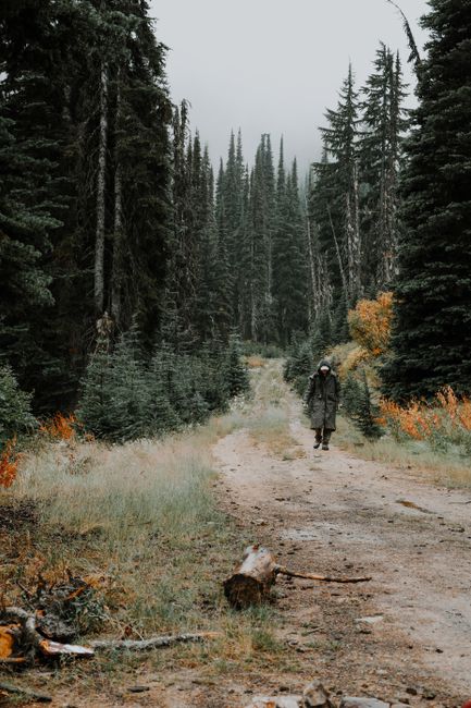 Back view of unrecognizable male traveler in raincoat strolling on path between overgrown trees in woods in autumn