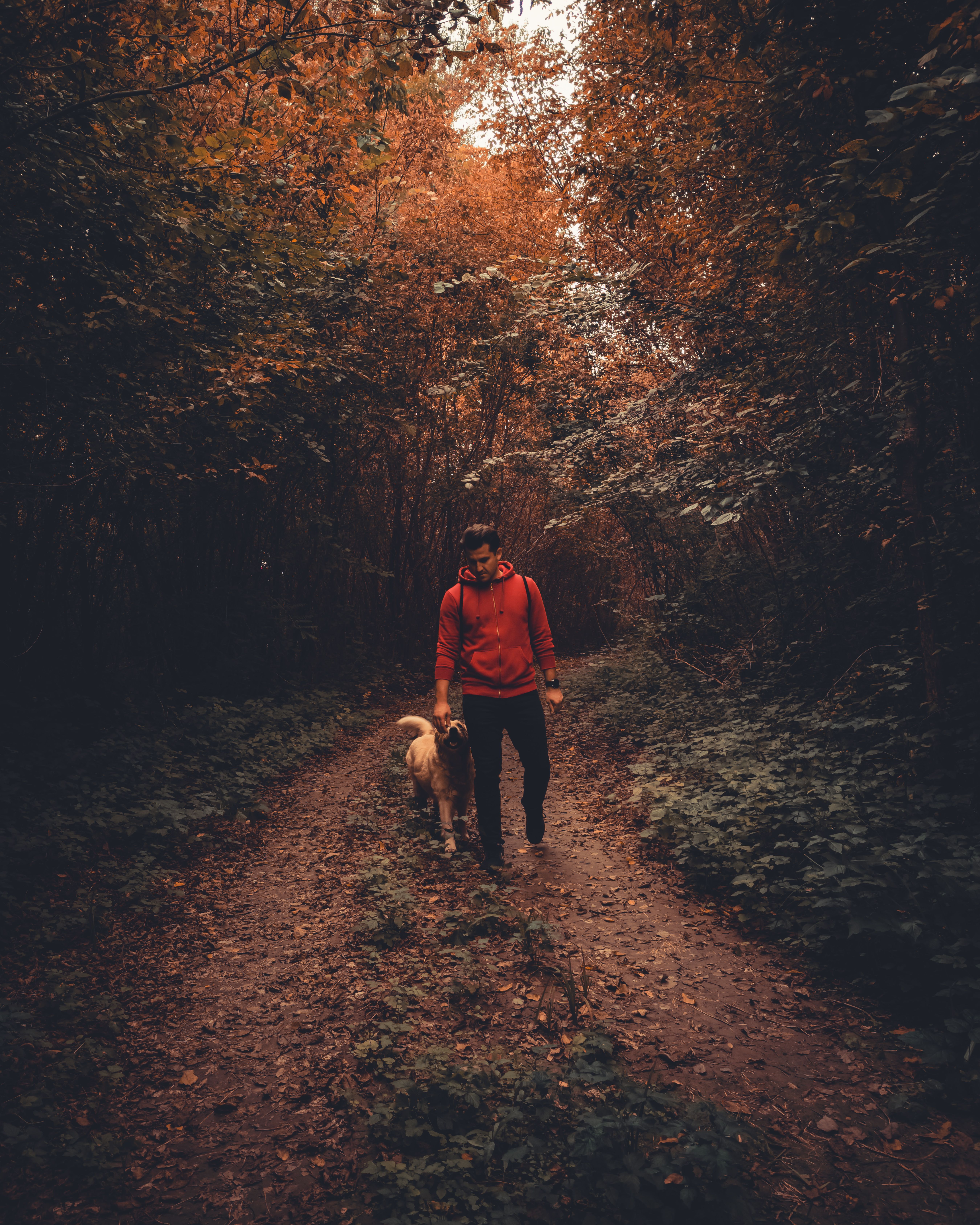 Abbey Wood Canines