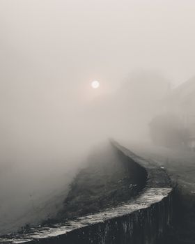 黄昏时分，以单色拍摄神秘的雾路，营造出一种怪异的氛围