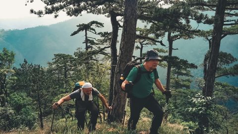 Two senior men enjoy a challenging hike in a dense forest with scenic mountain views.