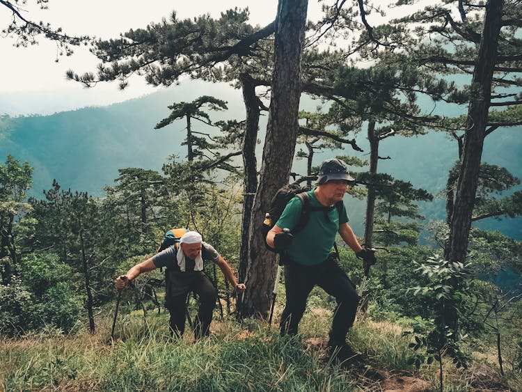 Elderly Men Hiking In Woods