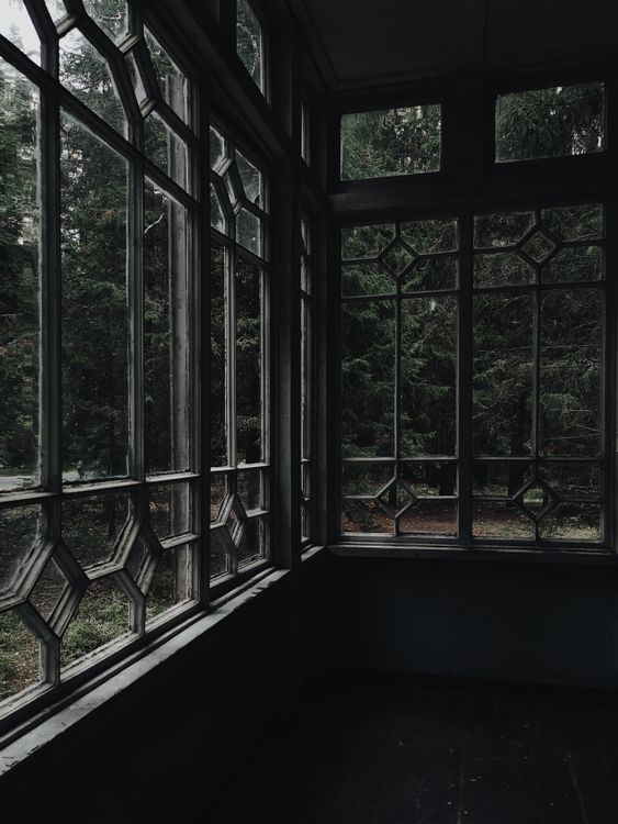 Window with a View of a Forest · Free Stock Photo