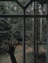 Hand in Front of a Window with a View of Forest
