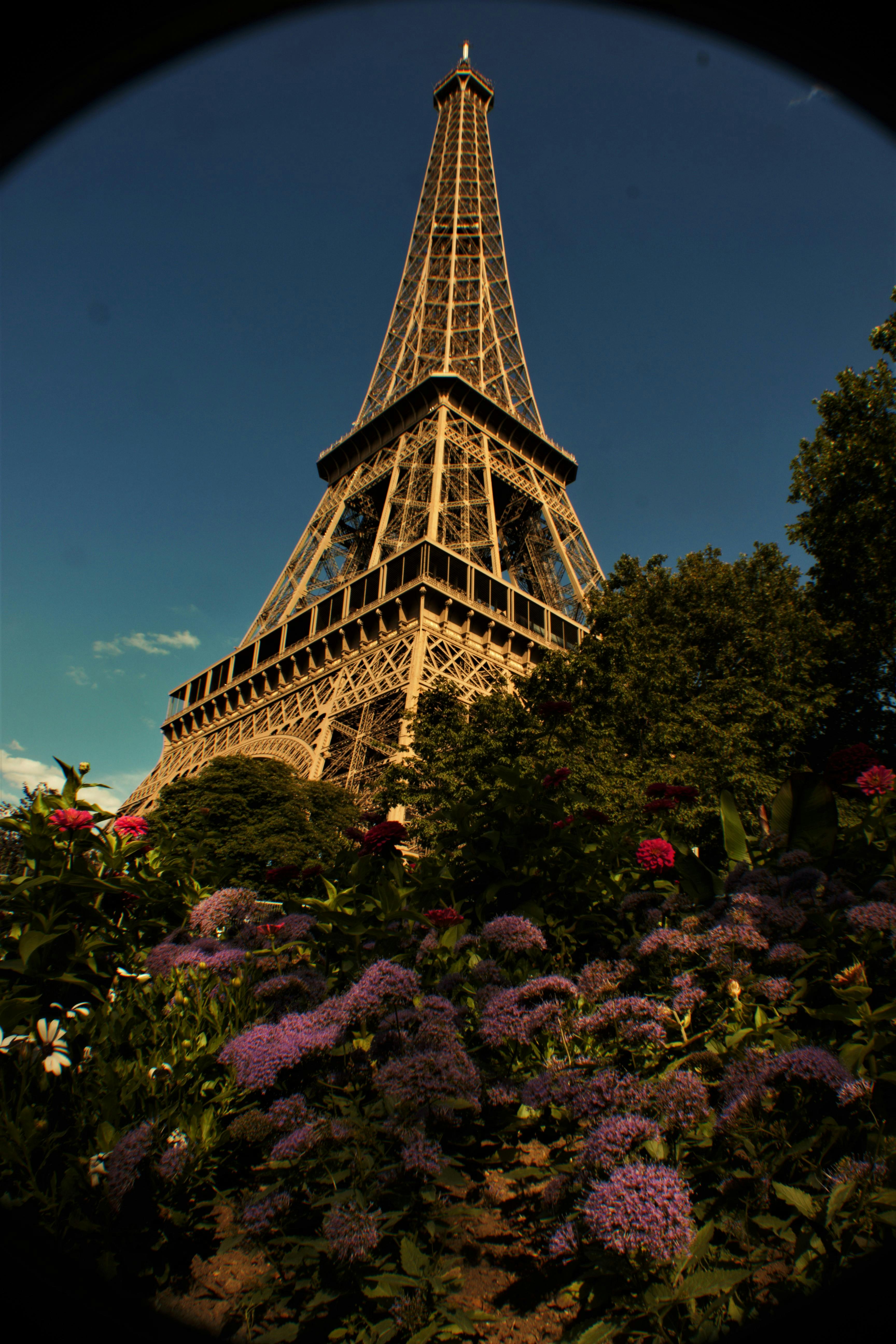 Free stock photo of #travel #eiffeltower #flowers #nature #paris