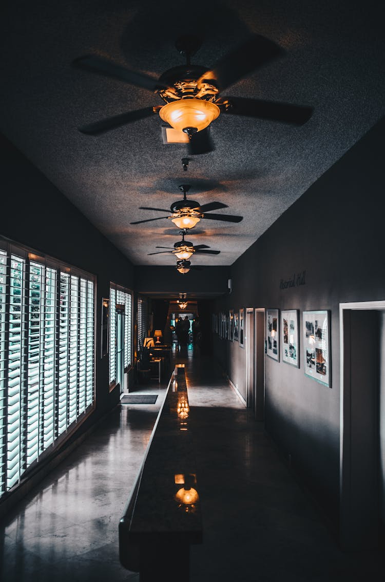 Lamps In A Dark Hall