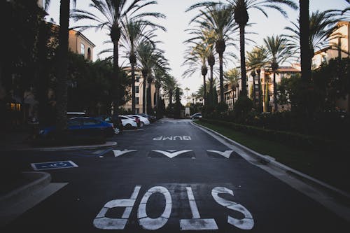 Asphalt Road with Stop Sign with Palm Trees on the Side