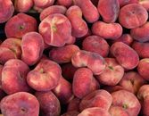 Red Apples in Close Up Photography