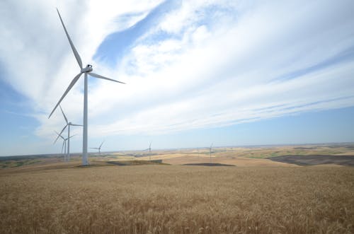 Photos gratuites de champ de blé, ciel bleu, énergie éolienne