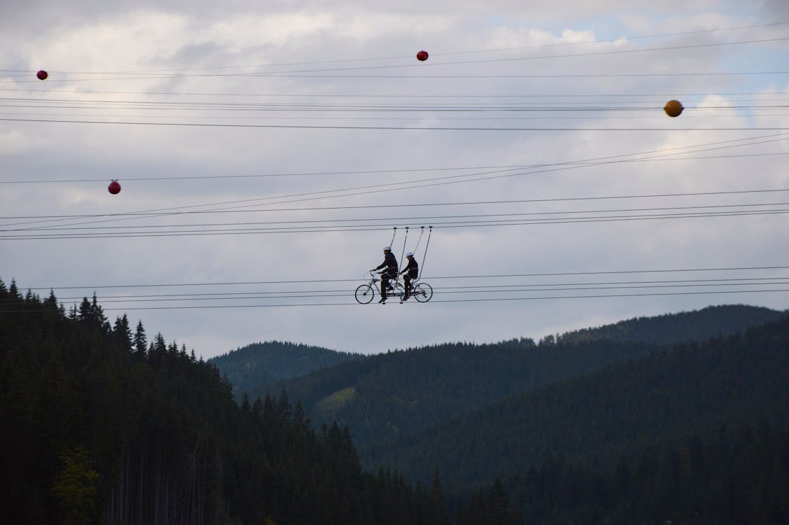 2 Persons Riding Bicycle Over Green Trees · Free Stock Photo