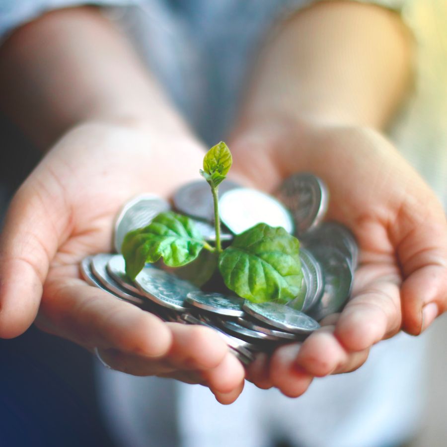 Hands cupping coins with a small green seedling growing from them