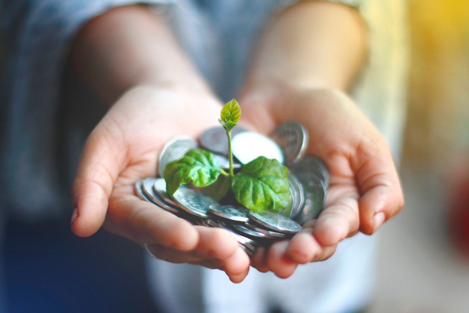 Hands cupping coins with a green plant sprouting, symbolizing financial growth