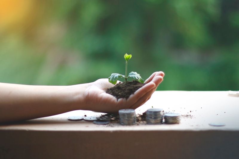 Plant growing from coins symbolizing investment growth and compound returns