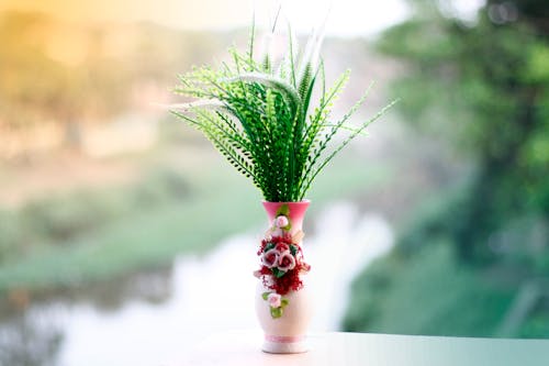 Imagine de stoc gratuită din decorat, ferigă, floral
