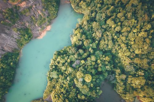 Free From above spectacular landscape of turquoise river between green forest and rocky cliff Stock Photo