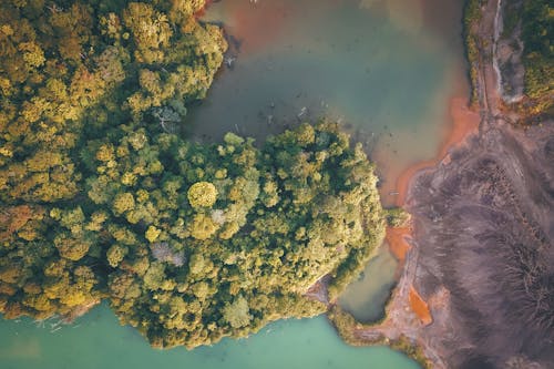 Top view of island with trees with green lush foliage surrounded with bright river