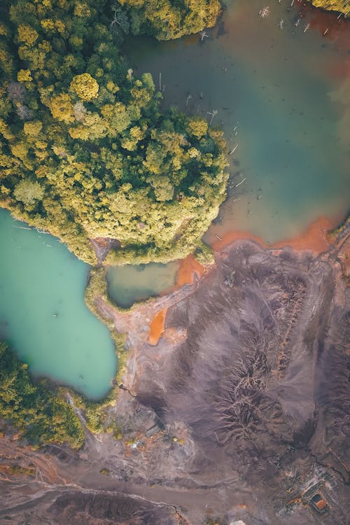 Top view of colorful water of ocean washing coastline covered with green plants