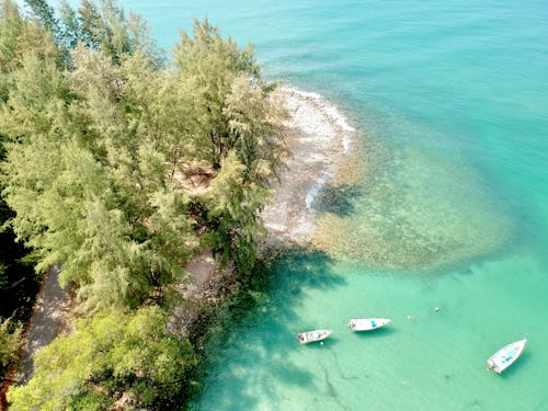 Tre Motoscafi Bianchi Vicino All'isola