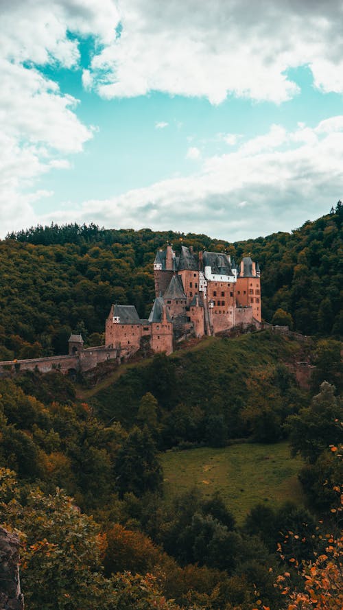 Ancient Castle on Hill near Forest