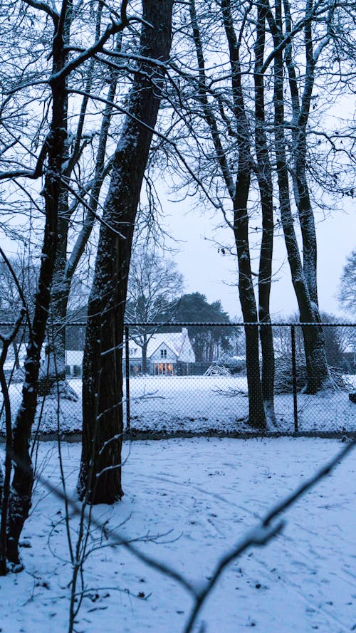 Free stock photo of farm house, forest, snow