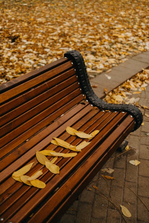 Darmowe zdjęcie z galerii z drewniana ławka, jesień, opadłe liście