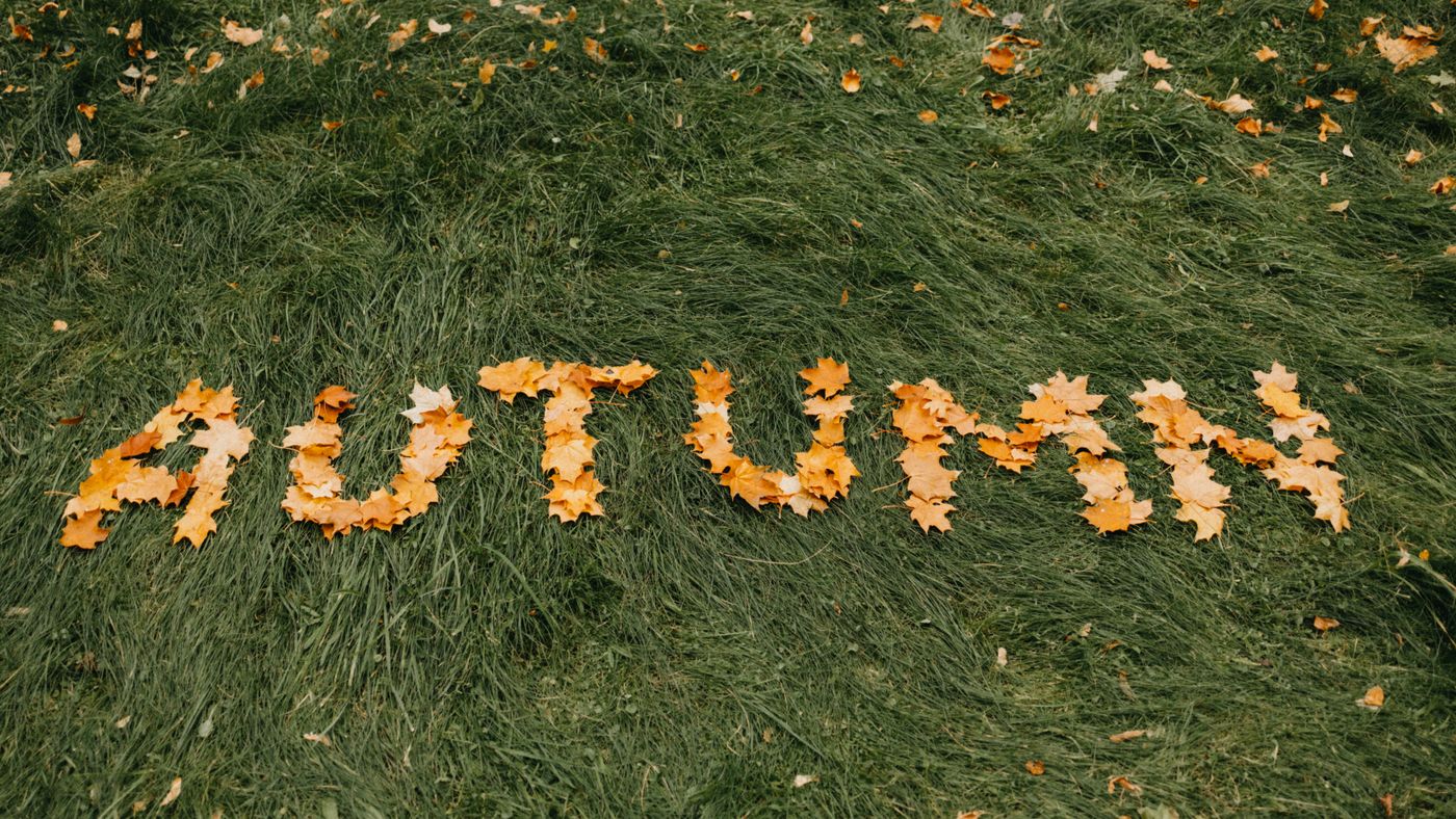 Winterizing the Lawn: What Fall Prep Actually Does for Spring Growth