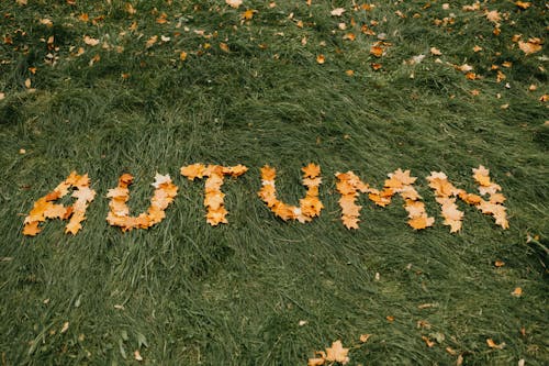 When Fall Foliage Will Peak Near You This Season