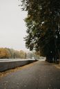 Green Trees Beside Gray Concrete Road