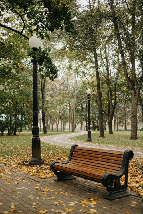 A Wooden Bench on the Park Near the Trees · Free Stock Photo