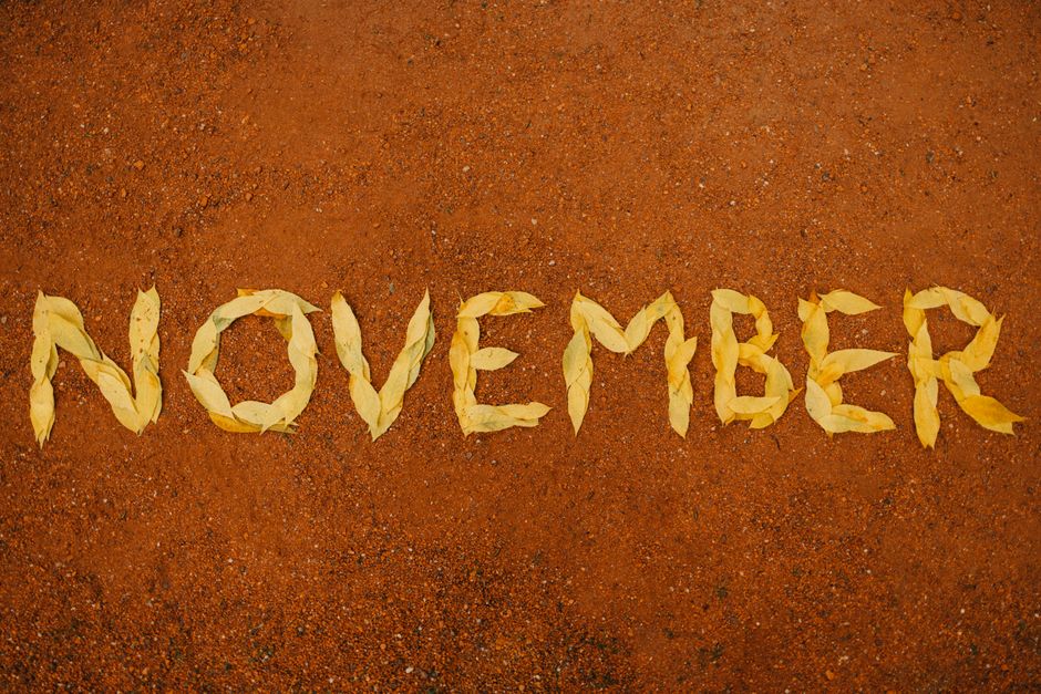 Yellow leaves spelling 'November' on red soil signify autumn's arrival.