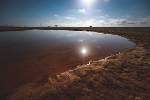 Picturesque view of pond in sandy desert under blue sky at sunny day