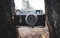 Retro Camera Wedged Between Trees