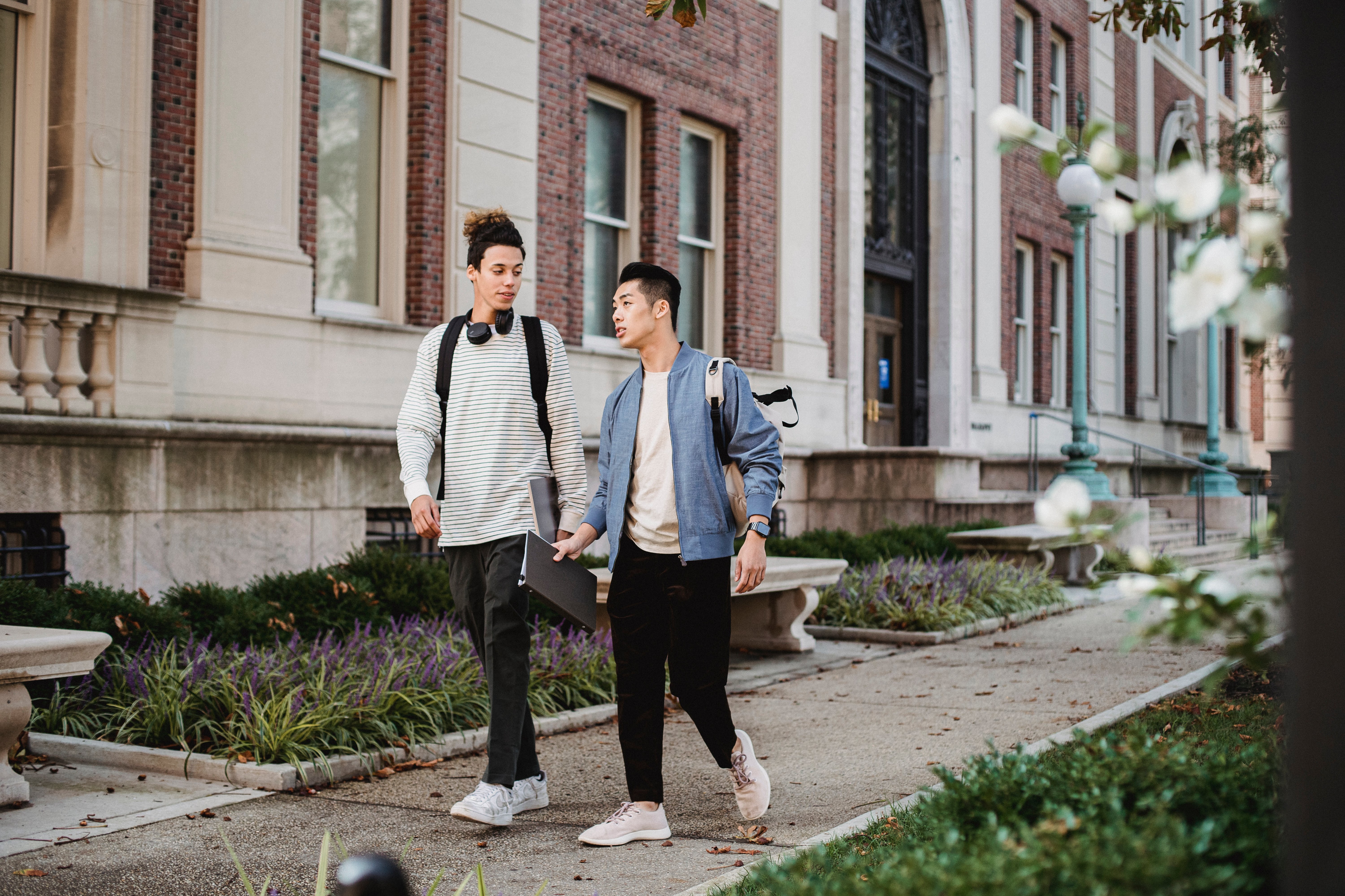Quinnipiac University’s General Education curriculum put under review — Photo by Armin  Rimoldi on Pexels