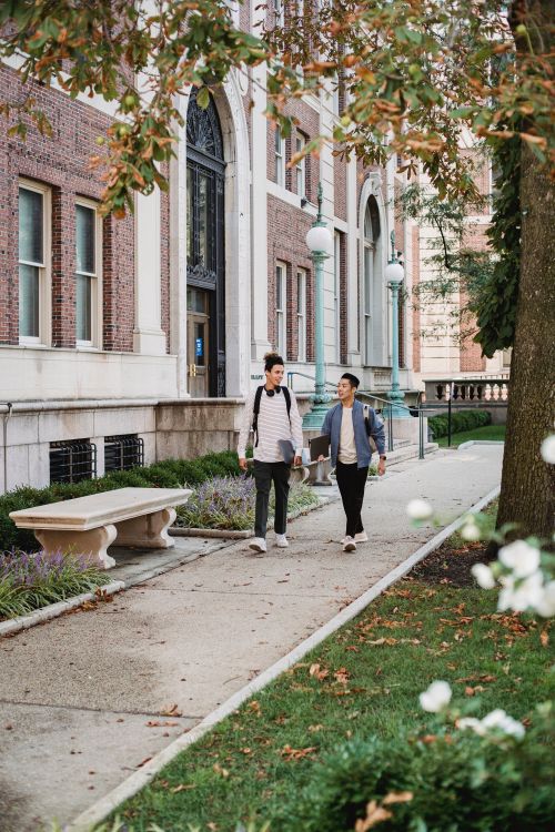 Free Full body of students in casual clothes communicating while walking on street along building in daytime Stock Photo