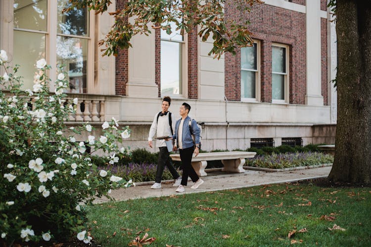 Smiling Diverse Students Having Talk While Walking Along Campus