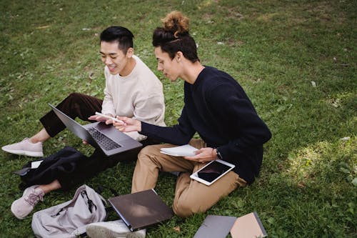 High angle full length ethnic male students in casual clothes browsing laptop and discussing college project while sitting together on grassy meadow in park