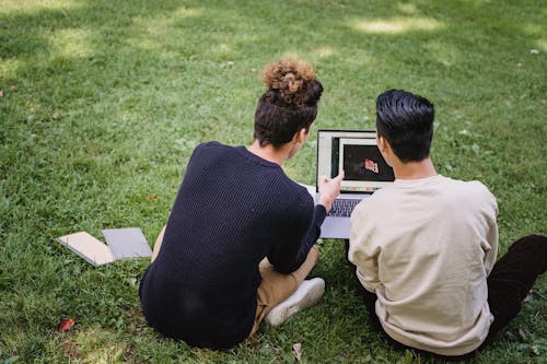 Unrecognizable men working on laptop on grassy meadow