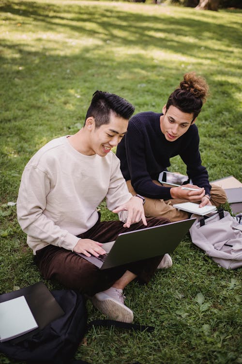 Glimlachende Etnische Mannelijke Studenten Die Aan Laptop Op Parkweide Werken