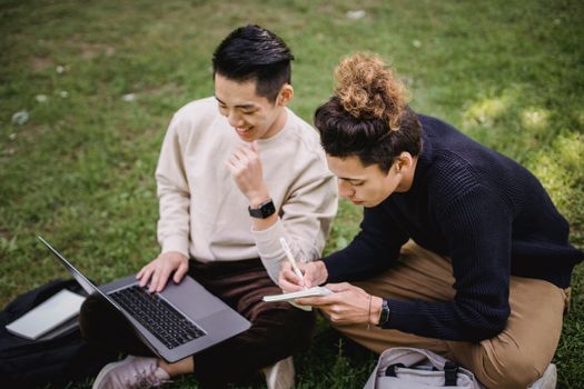 两个年轻人在公园里一起用笔记本电脑学习