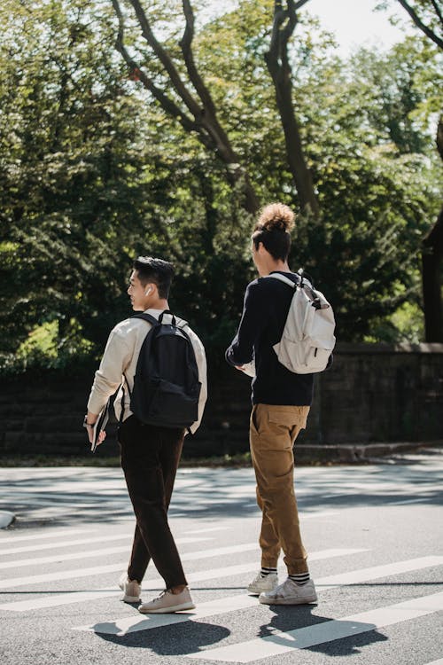 Back view of young anonymous stylish male students in casual clothes and backpacks crossing road in city near green park on sunny day