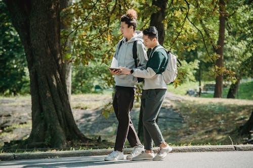 Free Side view of young stylish diverse male friends in casual outfits and backpacks walking together in path in park and preparing for exam Stock Photo