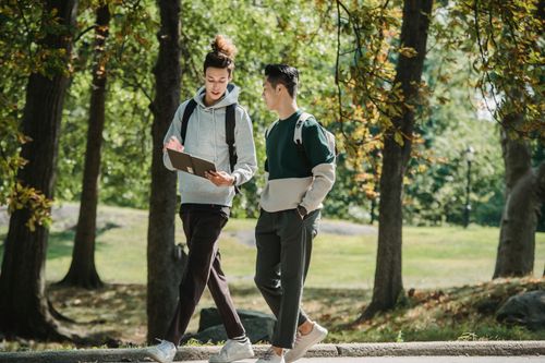 Free Concentrated young ethnic male student reading notes in copybook while walking in park with Asian friend before university classes Stock Photo
