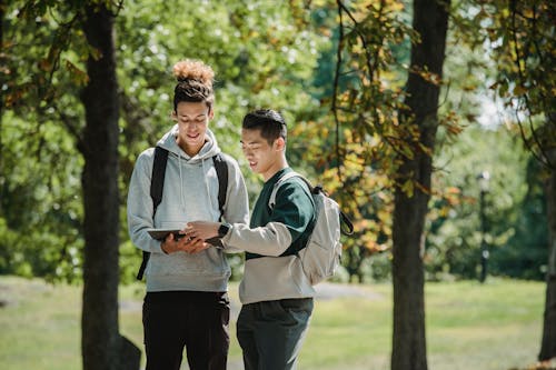 Free Confident young multiracial male friends in trendy outfits and backpacks standing in green park on sunny day and reading notebook together before studies Stock Photo