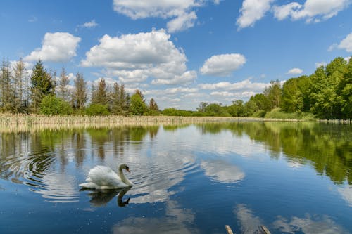 Kostenloses Stock Foto zu draußen, himmel, landschaft