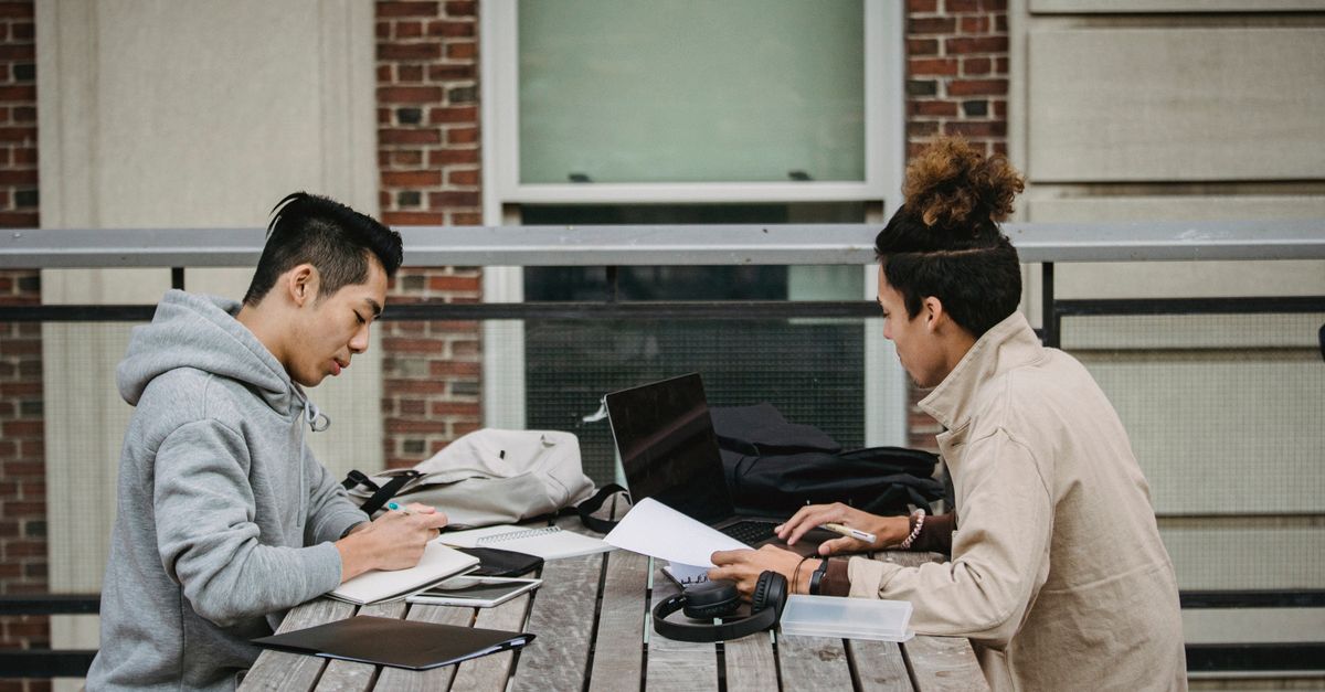Environment and climate scholarships, fellowships and awards open now