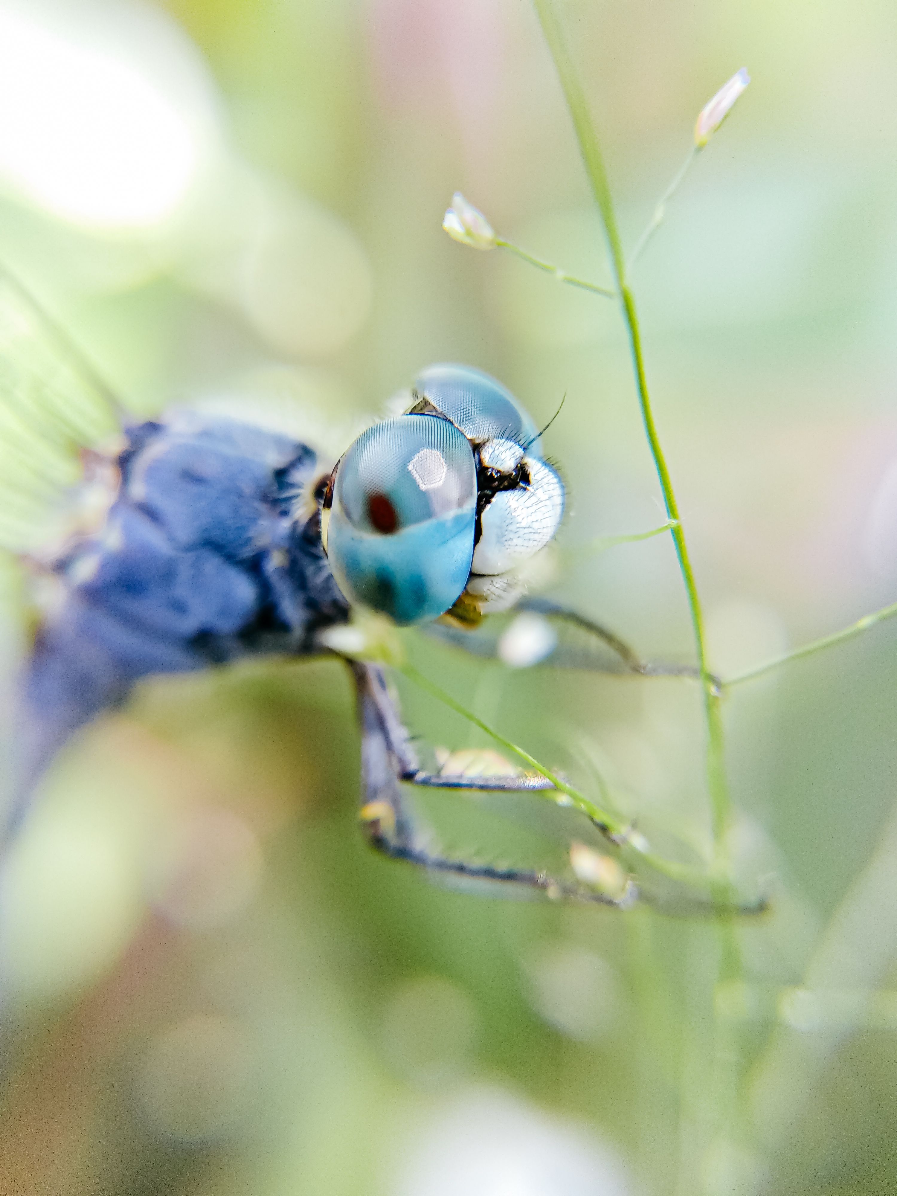 Eye Catching Photos, Download The BEST Free Eye Catching Stock Photos